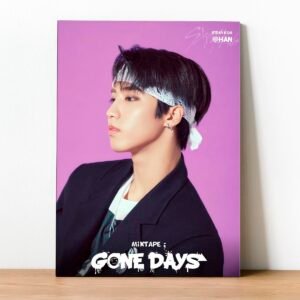 Cuadro Stray Kids 04
