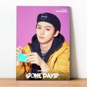 Cuadro Stray Kids 05
