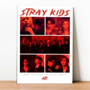 Cuadro Stray Kids Ate 03
