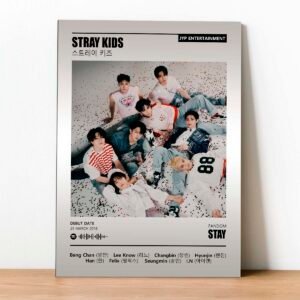 Cuadro Stray Kids Spotify 01