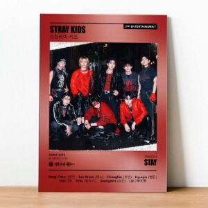 Cuadro Stray Kids Spotify 02