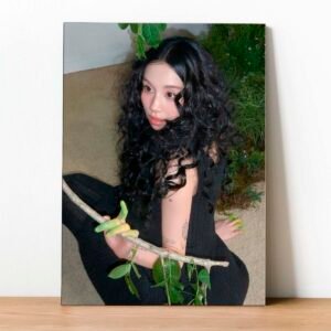 Cuadro Twice Lil Fantasy 03