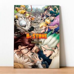 Cuadro Dr Stone 02