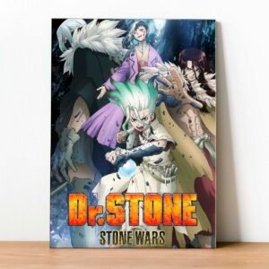 Cuadro Dr Stone 03