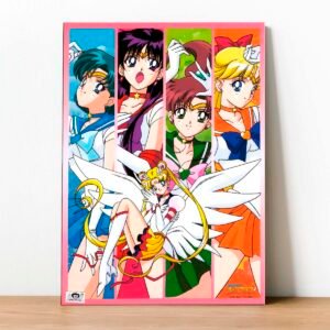 Cuadro Sailor Moon 03